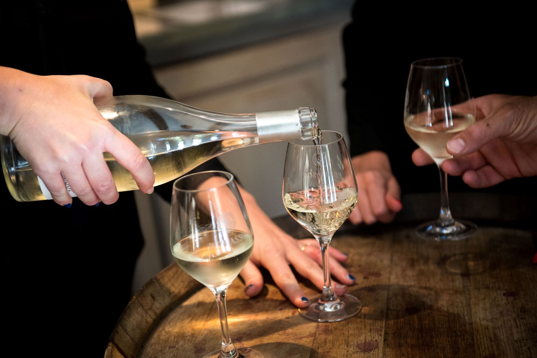 Dégustation de vins à Peyrassol